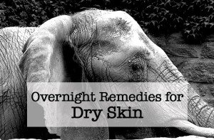 Overnight Remedies for Dry Skin – MonkeySmiles